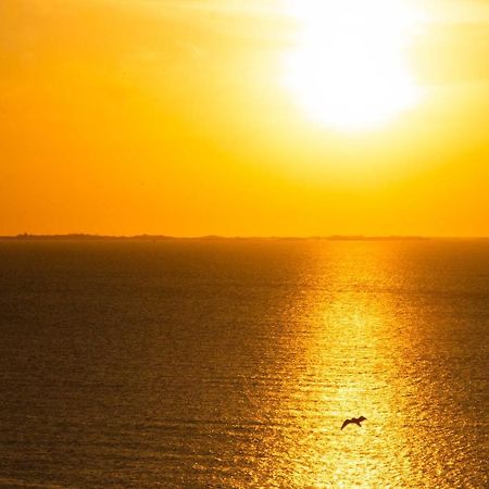 Cocooning Vue Mer, Appart A 300 M De La Plage. Διαμέρισμα Γκρανβίλ Εξωτερικό φωτογραφία